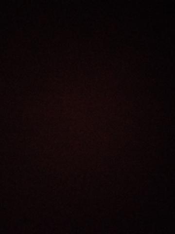 Индивидуалка Полина фото 2